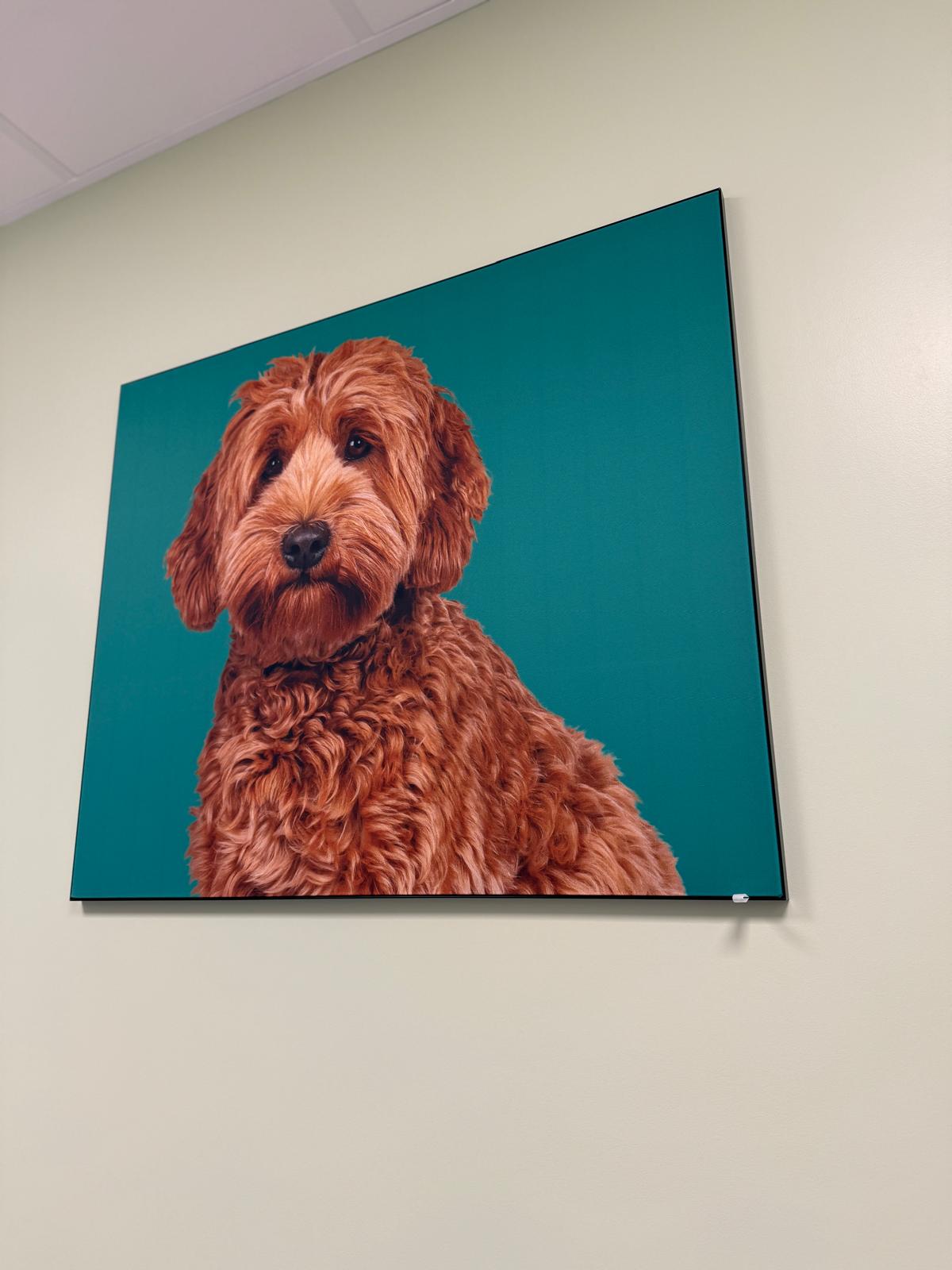 peesframe peesdoek fotoprint kantoorinrichting wandpaneel wandpanelen
